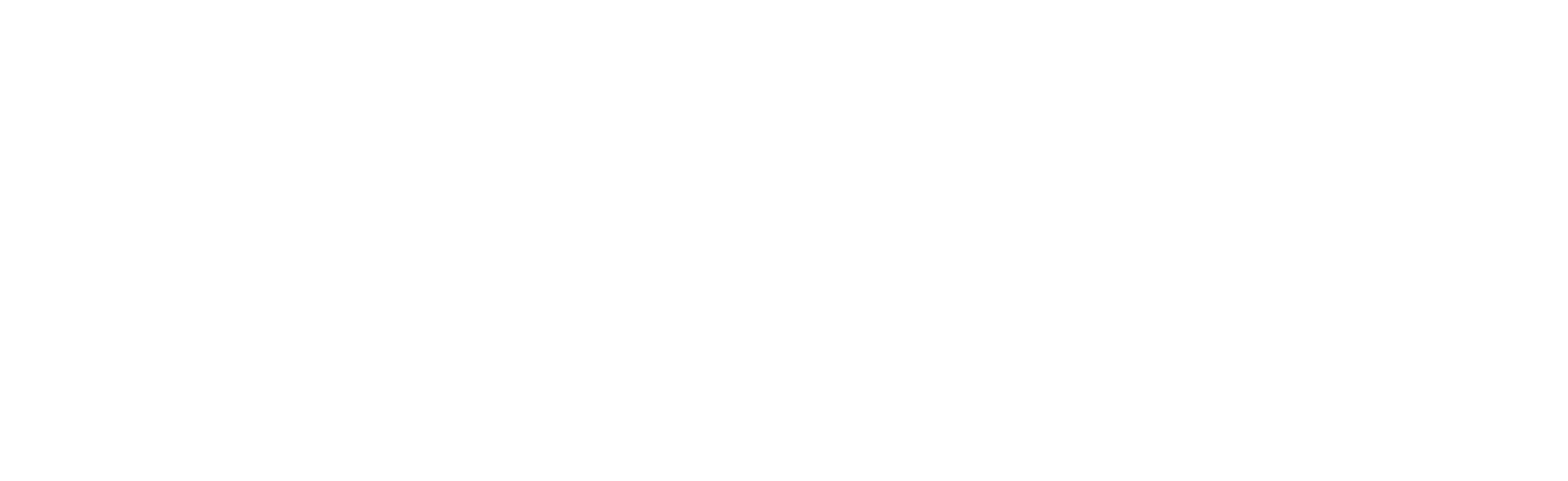 Logo Valid